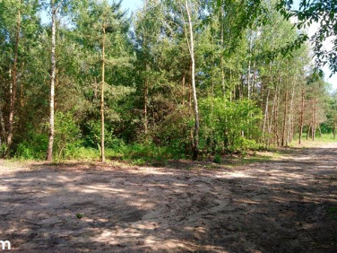 Działka budowlana Starogard Gdański