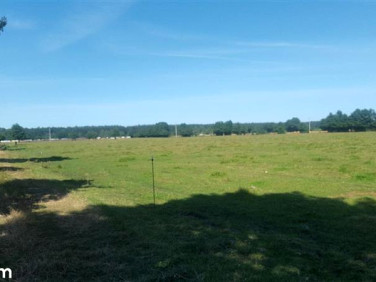 Działka rekreacyjna Karwia