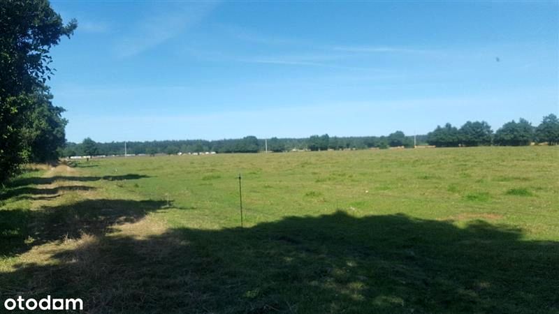 Działka rekreacyjna Karwia