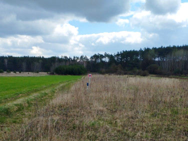 Działka budowlana Kielce