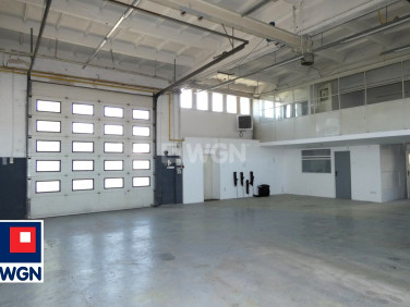 Lokal Ostrów Wielkopolski