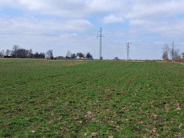 Działka inwestycyjna Żory