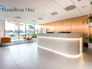 Lokal Wrocław wynajem