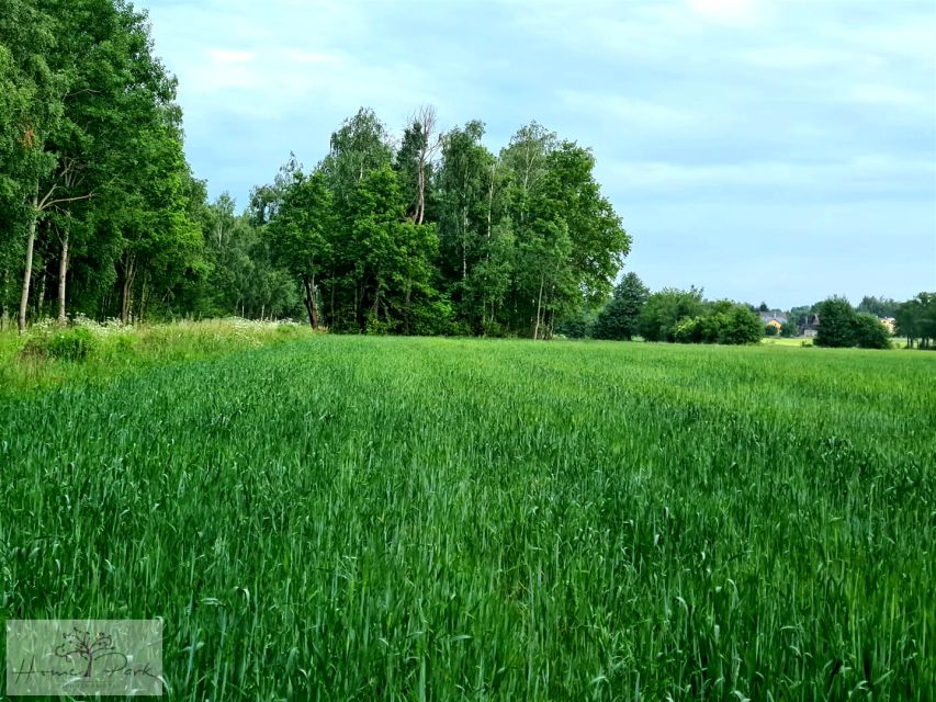 Działka budowlana Dalików