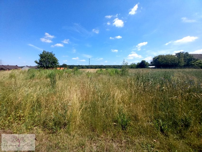 Działka budowlana Borowa