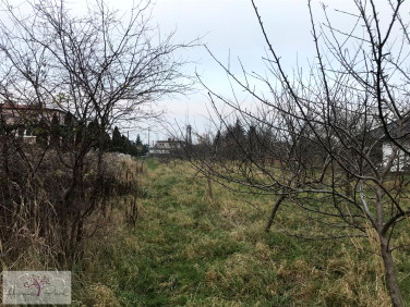 Działka budowlana Wola Zaradzyńska