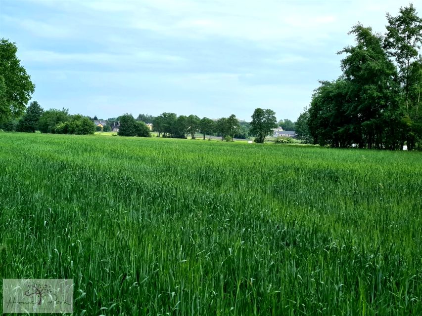 Działka budowlana Dalików