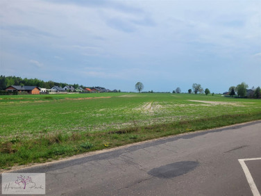 Działka siedliskowa Sanie