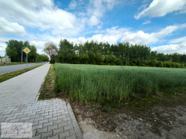 Działka budowlana Dobroń