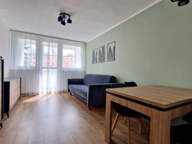 Mieszkanie Jelenia Góra wynajem