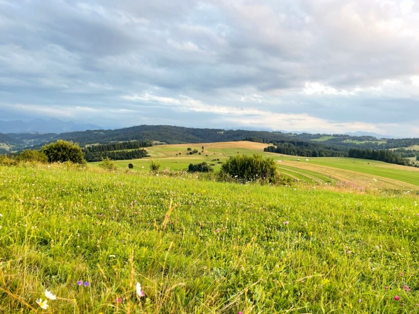 Działka rolna Łapsze Wyżne