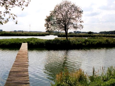 Działka rolna Dziedzice