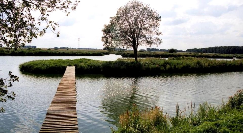 Działka rolna Dziedzice