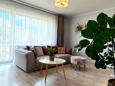 Dom Międzyborów sprzedaż