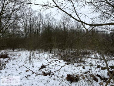 Działka budowlana Łódź