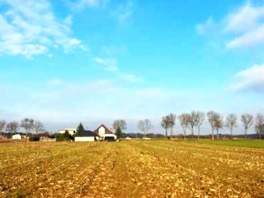 Działka budowlana Konopnica