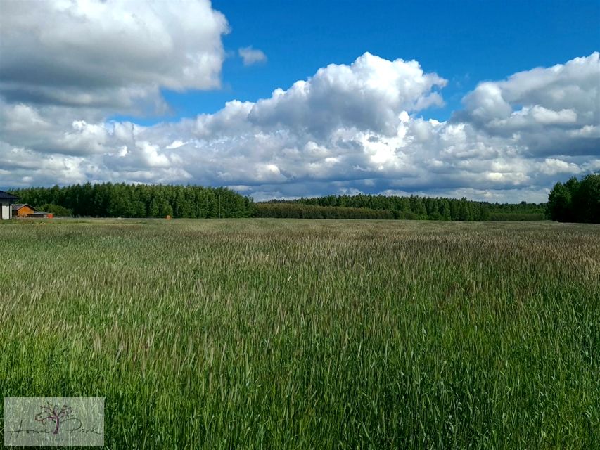 Działka budowlana Gajówka