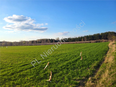 Działka budowlana Przytoka sprzedam