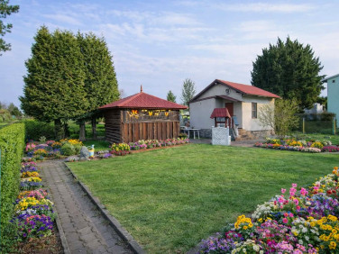 Działka rekreacyjna Tczew