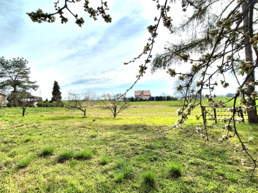 Działka budowlana Czernica