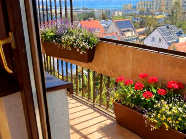 Mieszkanie Gliwice sprzedaż