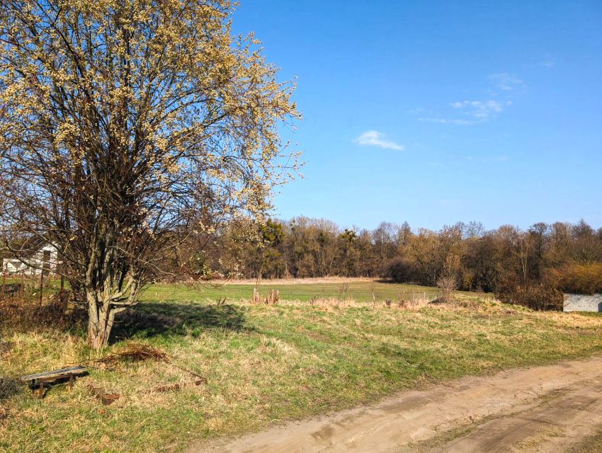 Działka budowlana Żukczyn