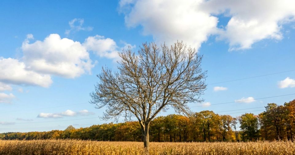 Działka inwestycyjna Sanie
