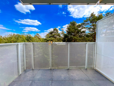 Mieszkanie przy lesie