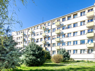 Mieszkanie Głubczyce sprzedaż