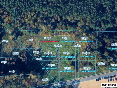 Działka Kolonia Borek