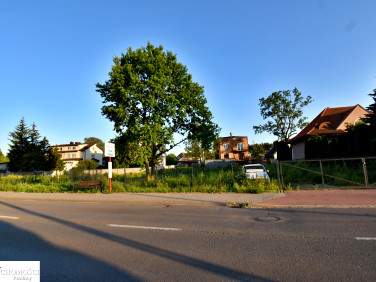 Działka usługowa Zielonka