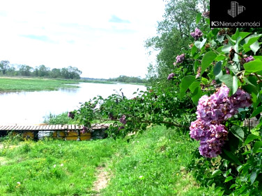 Działka inna Jackowo Dolne