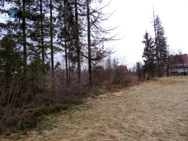 Działka Kościelisko