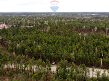 Działka leśna Warszawa