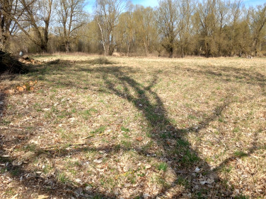 Pusta działka Szumiąca