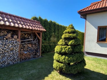 Dom Łochowo sprzedaż