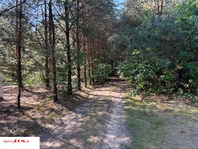 Działka budowlana Siestrzeń