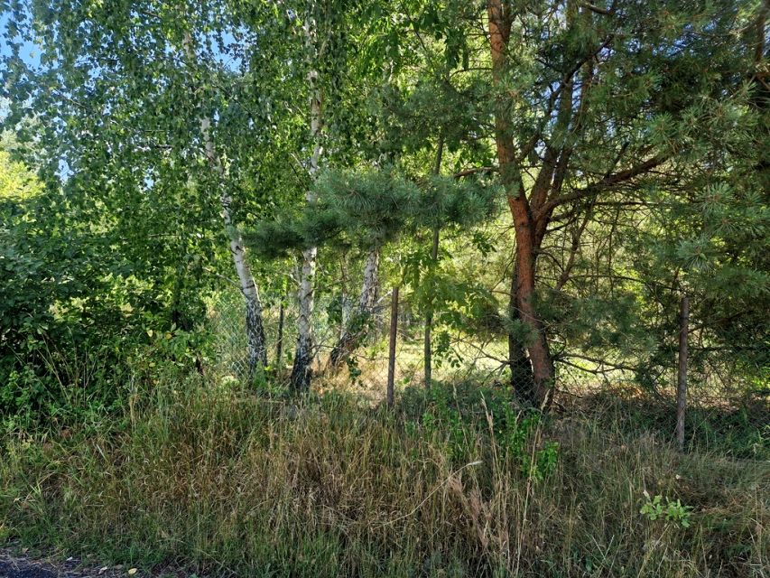 Działka Dziekanów Nowy