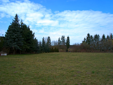 Dom Szubin-Wieś