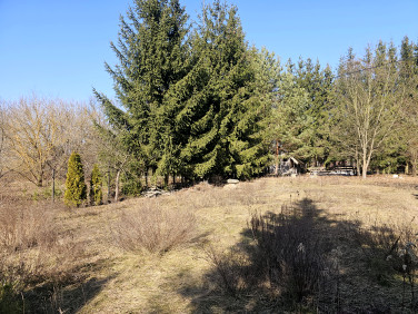 Działka Bolesławów