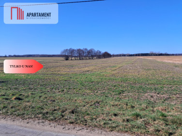 Działka Wiktorówko