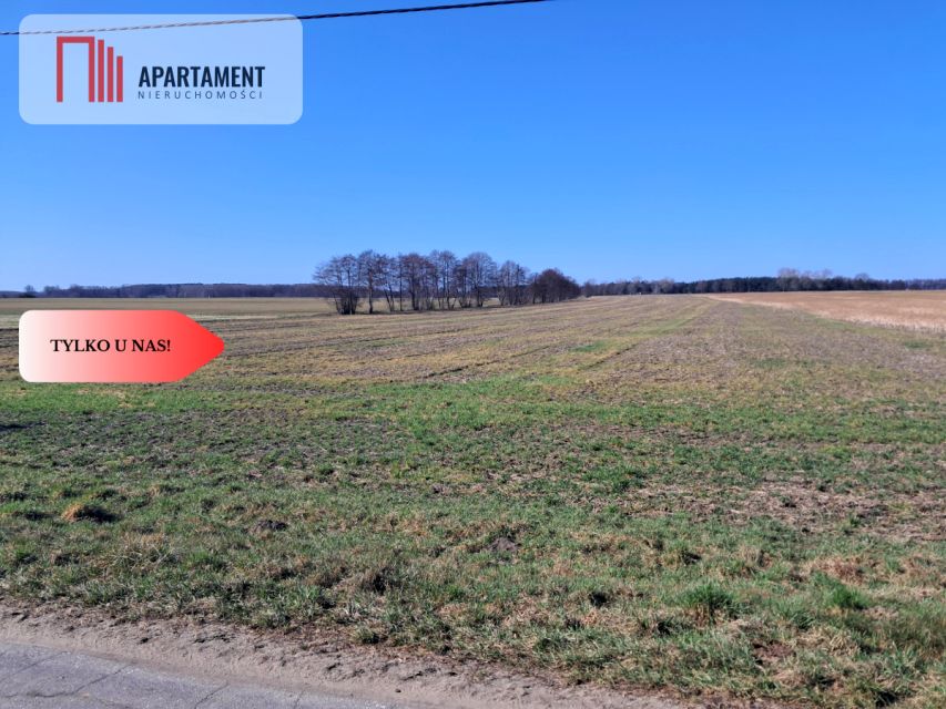 Działka Wiktorówko