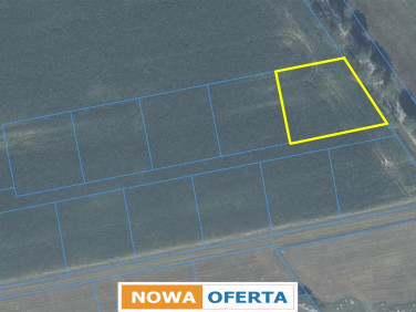 Działka inna Marianka