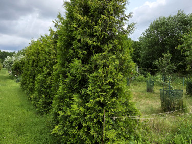 Działka rekreacyjna Wrocław