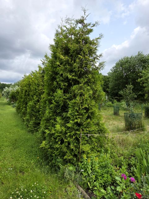 Działka rekreacyjna Wrocław