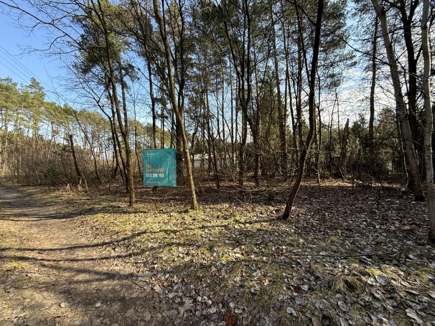 Działka Rydzynki