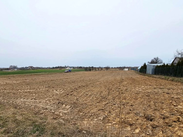 Działka budowlano-rolna Panieńszczyzna