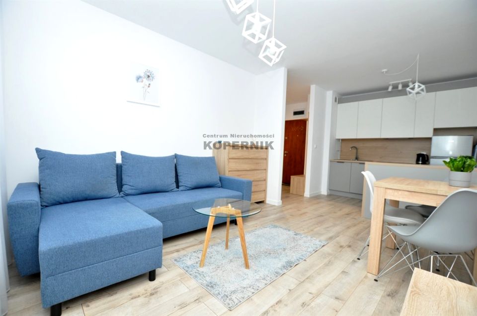 Mieszkanie Toruń wynajem