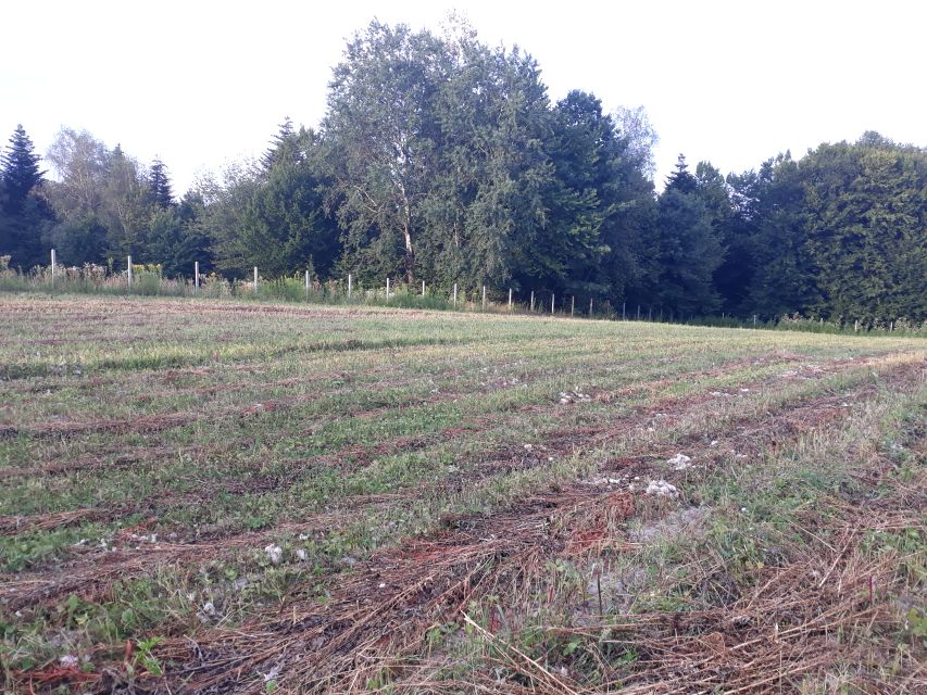 Działka budowlano-rolna Zalasowa