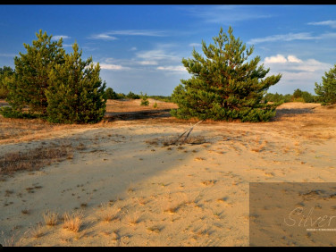 Działka rekreacyjna Famułki Brochowskie